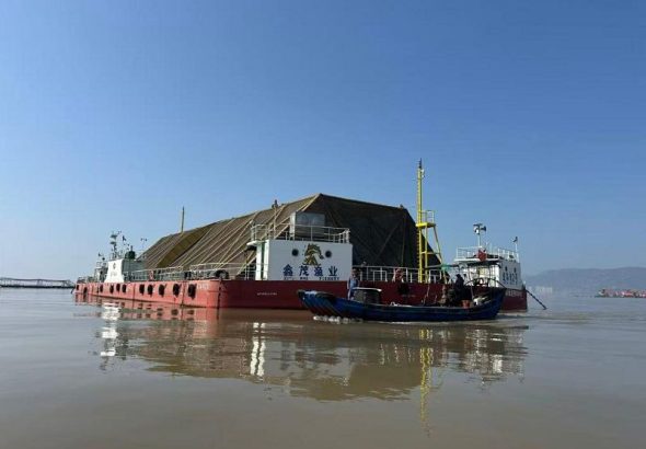 圖為坐落在福建省連江縣定海灣海域的大黃魚養殖平台「定海灣2號」。新華社