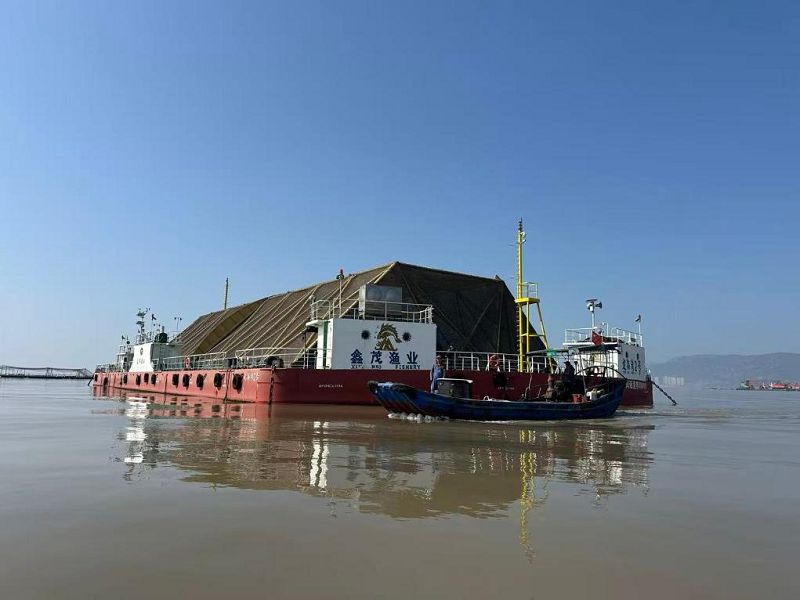 圖為坐落在福建省連江縣定海灣海域的大黃魚養殖平台「定海灣2號」。新華社