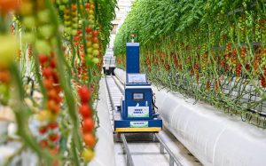 3月10日，雄安智慧農業科技園裡，智能巡檢機器人正在巡檢。