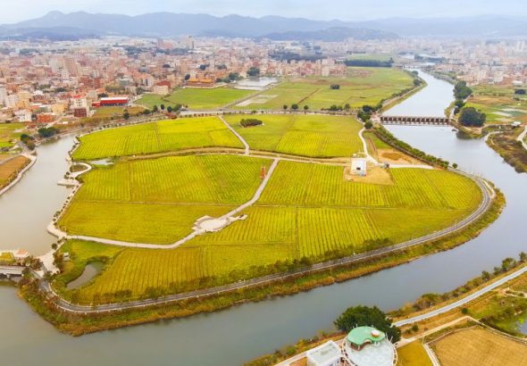3月12日，航拍福建南安水頭鎮五里大盈溪項目，溪水和灌渠環繞的河灘地已被改造為「稻夢島」。