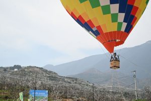 3月13日，重慶市巫山縣曲尺鄉柑園村，遊客乘坐熱氣球賞李花。