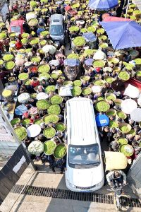 F69b10eb80cf26f4c56823acd