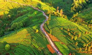 F69cb71f40cf219fa5991f56f