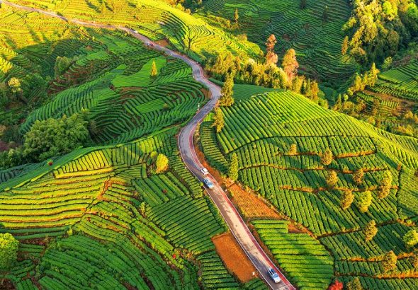 F69cb71f40cf219fa5991f56f