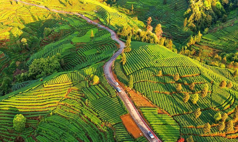 F69cb71f40cf219fa5991f56f