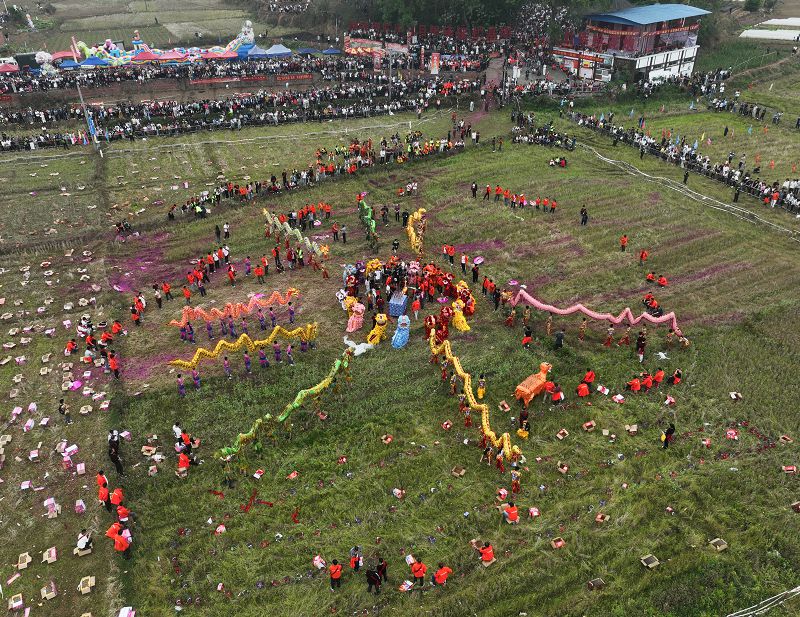 圖為活動現場。