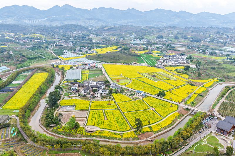 重慶，2026年3月9日