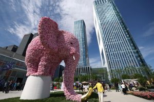 4月28日，2026北京國際花展在北京豐台開幕。圖為觀眾在花展賞花。中新社
