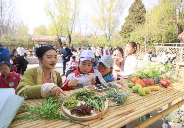 4月4日，民眾在位於北京的柳蔭公園內學習古代時令習俗。 中新社
