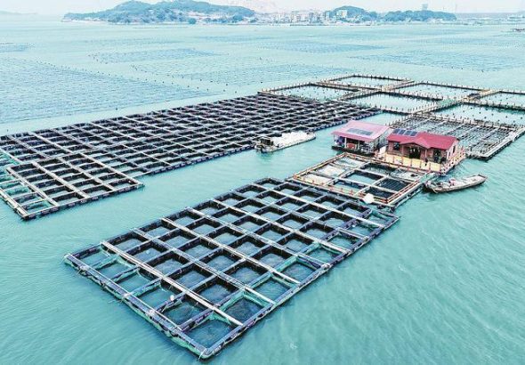 dcec-0e23dfc390c034302bce8d6dfe522a66