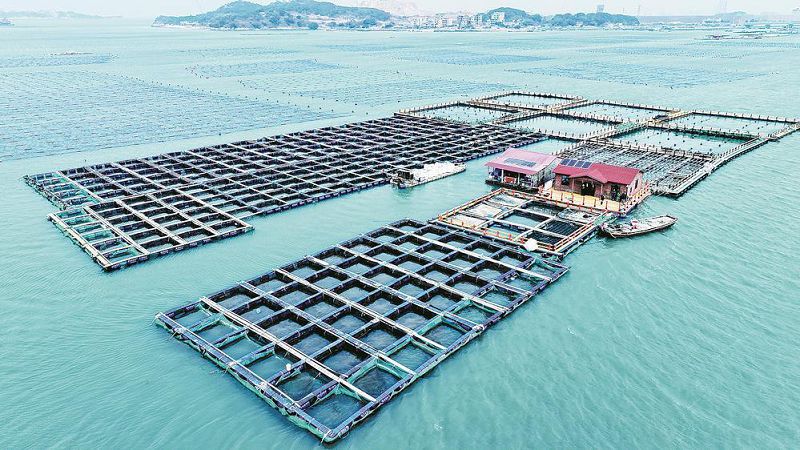 dcec-0e23dfc390c034302bce8d6dfe522a66