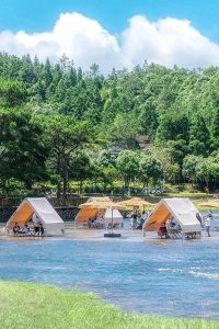 仙遊仙水洋景區