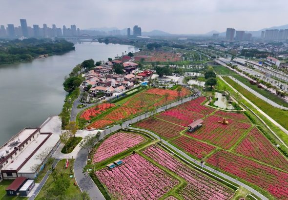俯瞰福建漳州龍江歲月濱江風景。