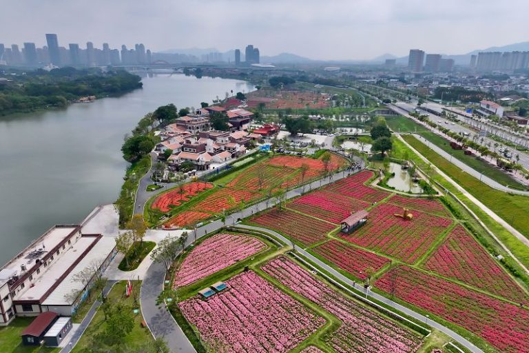 俯瞰福建漳州龍江歲月濱江風景。