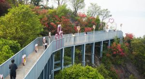 微信图片_20260412201051_7_17