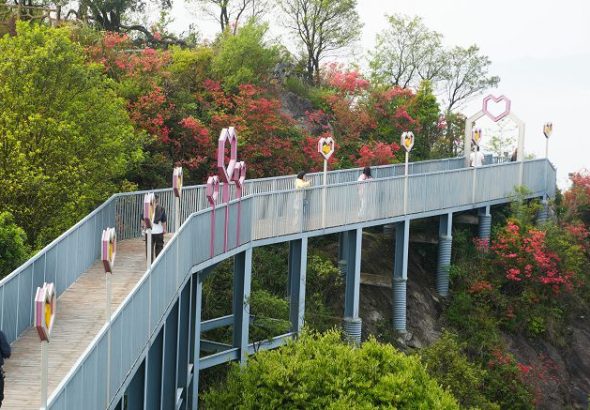 微信图片_20260412201051_7_17