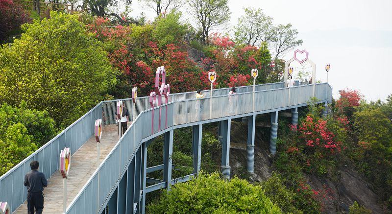 微信图片_20260412201051_7_17