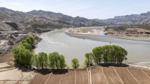 春日里的“宁夏黄河第一村”（7）XxjpsgC000069_20260408_PEPFN0A001