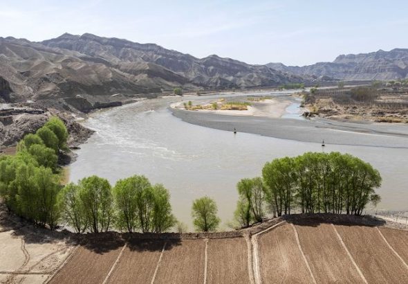 春日里的“宁夏黄河第一村”（7）XxjpsgC000069_20260408_PEPFN0A001