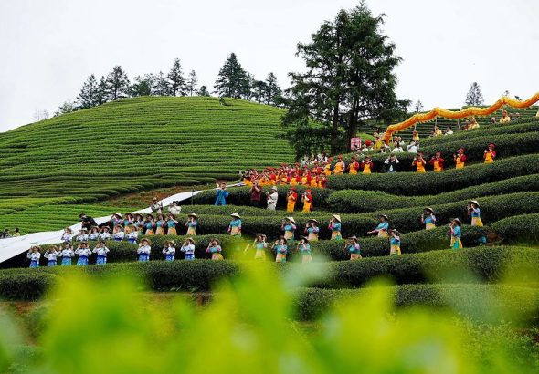 福建武夷山：两岸茶人+共叙茶缘（1）#XxjpsgC000300_20260415_PEPFN0A001