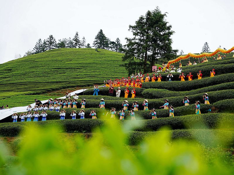 福建武夷山：两岸茶人+共叙茶缘（1）#XxjpsgC000300_20260415_PEPFN0A001