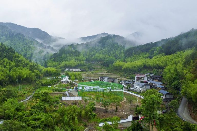 圖為5月13日，俯瞰保存有完整的中亞熱帶常綠闊葉林生態系統的福建龍棲山國家級自然保護區。