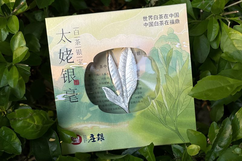 太姥銀毫·白茶銀寶