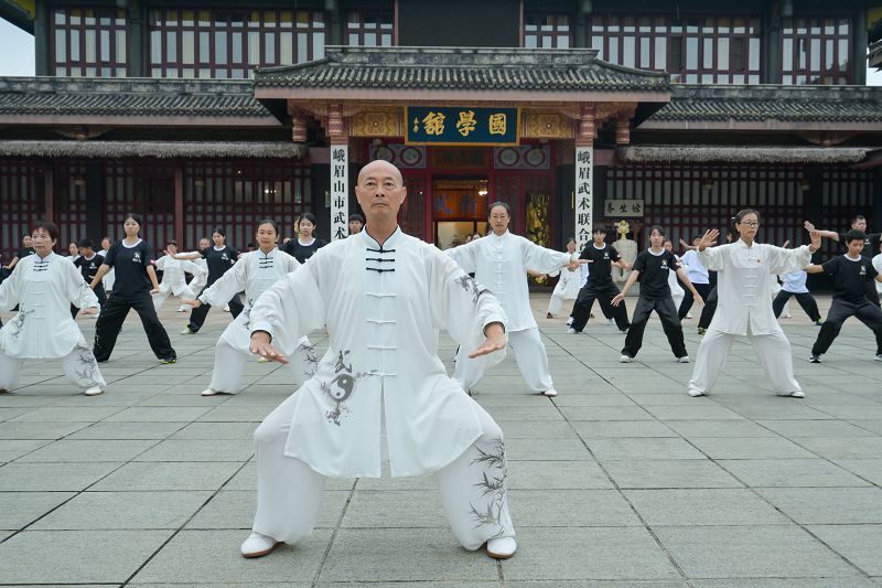 7月3日，第五屆海峽兩岸峨眉武術文化交流活動在四川樂山啟動。圖為兩岸武者合練八段錦。 中新社