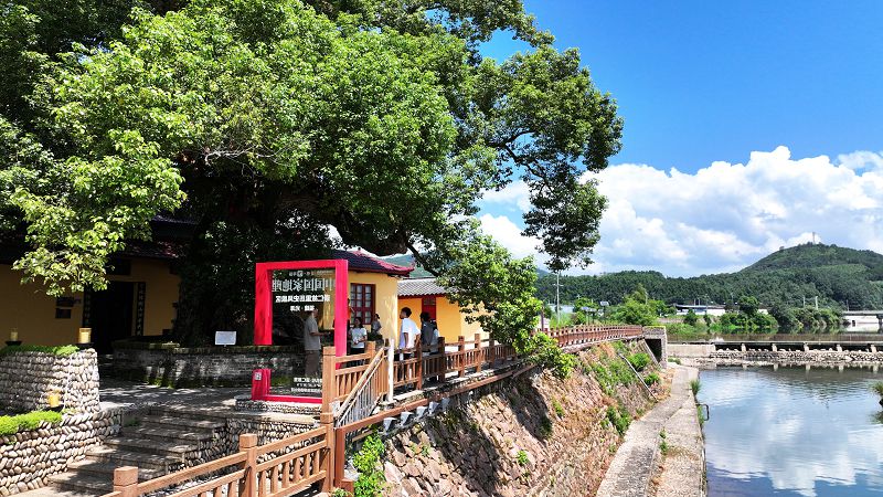遊客在福建省南平市光澤縣崇仁鎮崇仁古街千年古樟樹下遊玩。