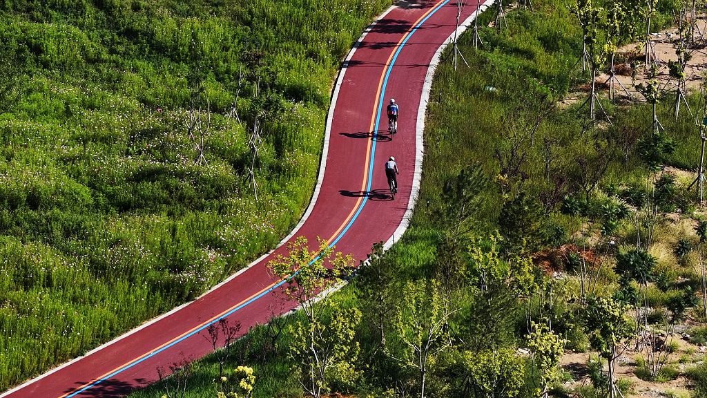 8月29日，騎行愛好者穿行賀蘭山東麓 「紫色大道」，感受別樣風光。