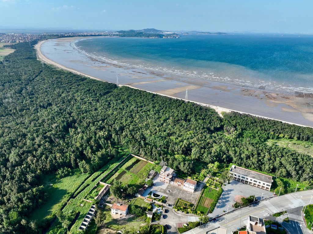 9月9日拍攝的小岞林場辦公區及海岸防護林（無人機照片）。