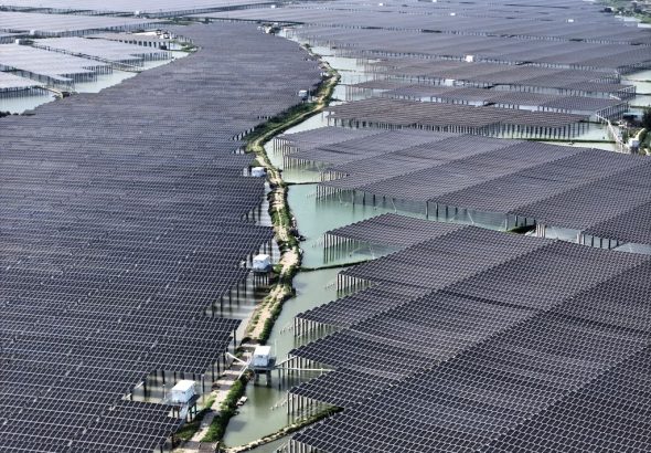 福建省詔安縣西山農場的千畝蝦池上，數萬塊光伏板排列整齊，將太陽能轉化為電能。（無人機照片） 中新社
