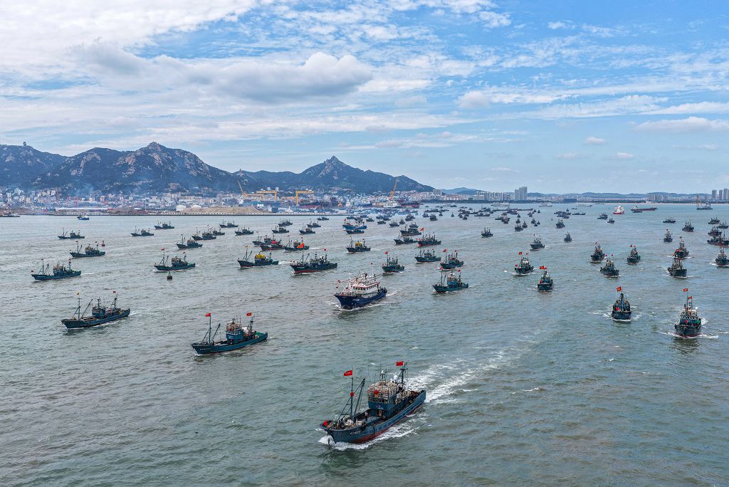 9月1日，山東省榮成市石島漁港，漁船拔錨起航、出海捕魚。當日，為期4個月的2026年黃渤海伏季休漁期結束，漁民迎來開海捕撈季。