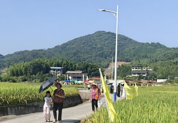 Oplus_20054050