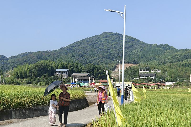 Oplus_20054050