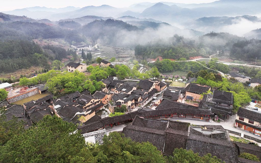 鳥瞰四坪村